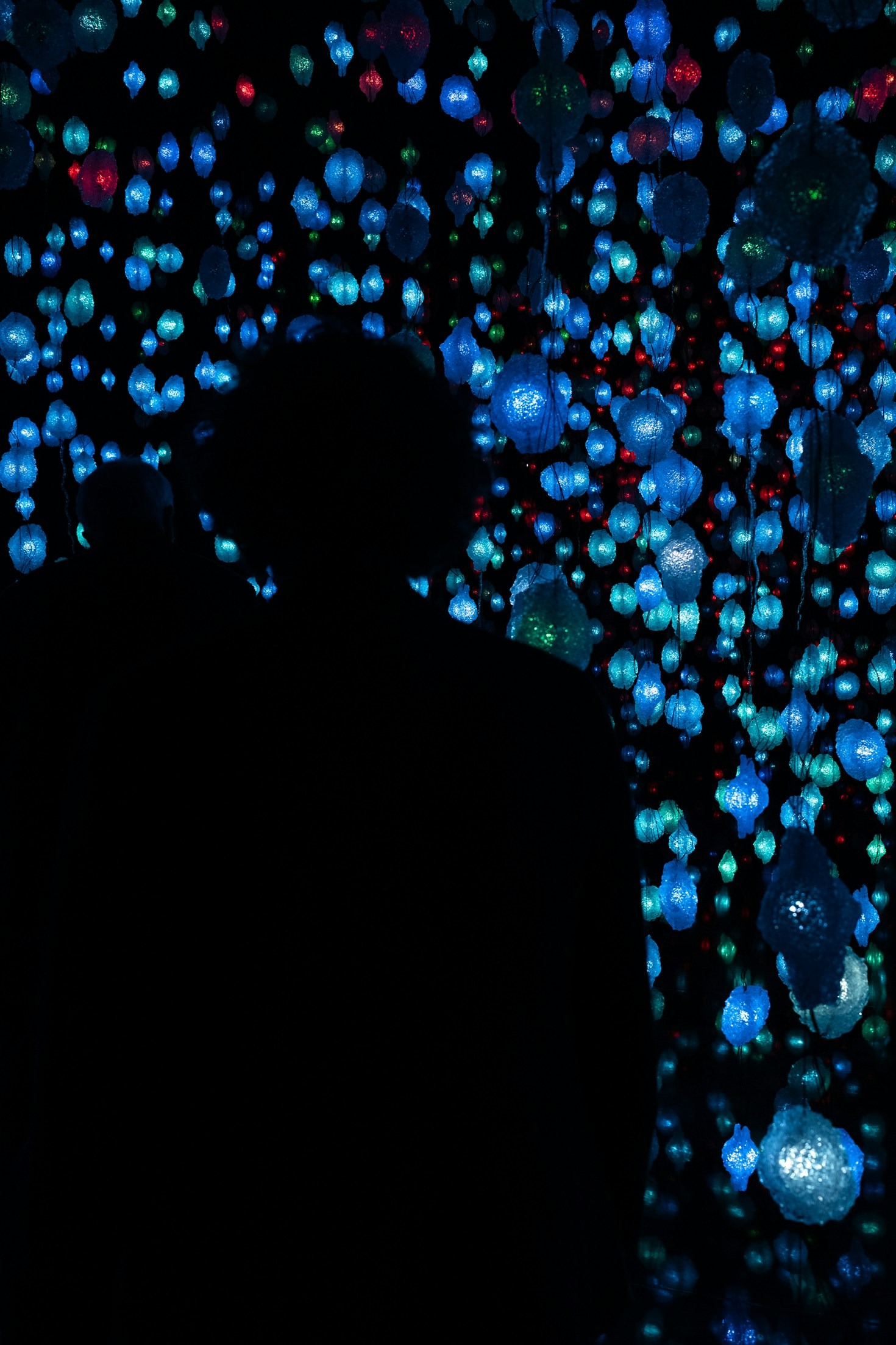 Can True Free Will Survive in a Deterministic Universe?